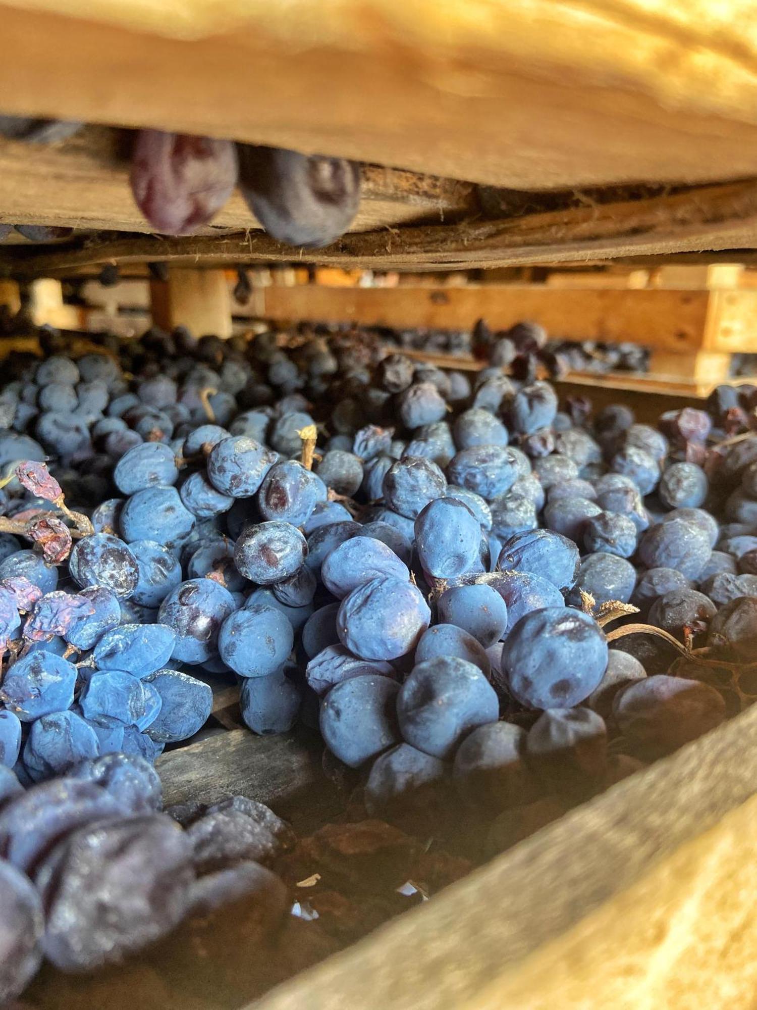 הוילה ורונה La Vineria Di San Mattia מראה חיצוני תמונה